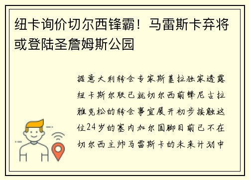 纽卡询价切尔西锋霸！马雷斯卡弃将或登陆圣詹姆斯公园